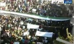 أخبار يوم الاثنين 12-12-2011م