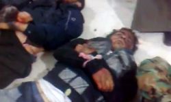 أخبار يوم الأحد 25-12-2011م